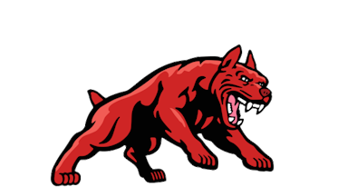 833 Junk Dog Cleanouts